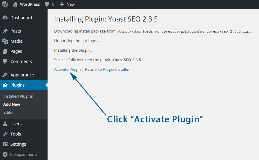 Activate a WordPress plugin